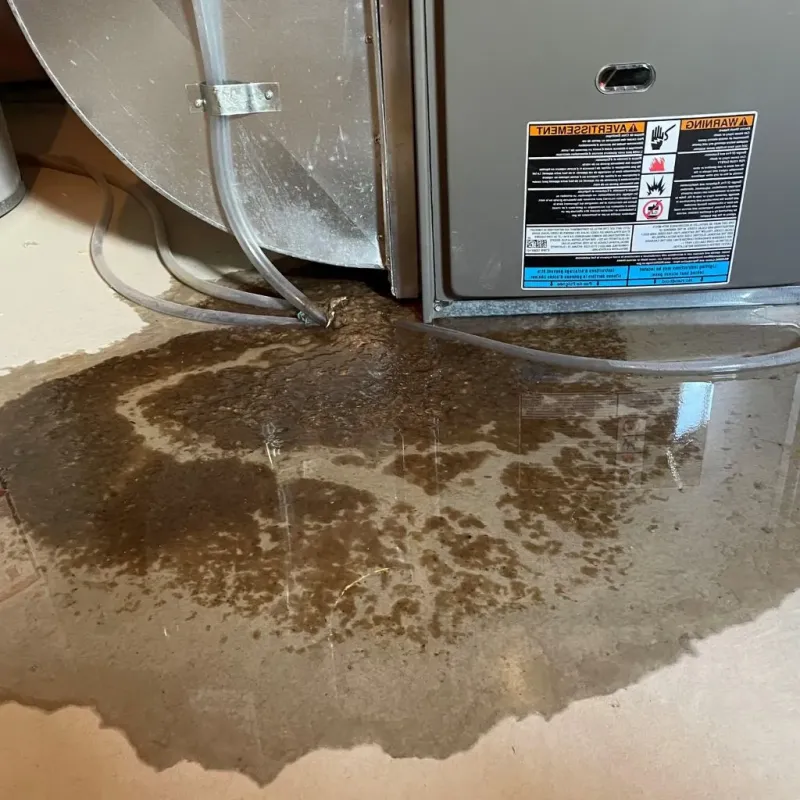 Pipe Burst and Leak Restoration in Weston County, WY