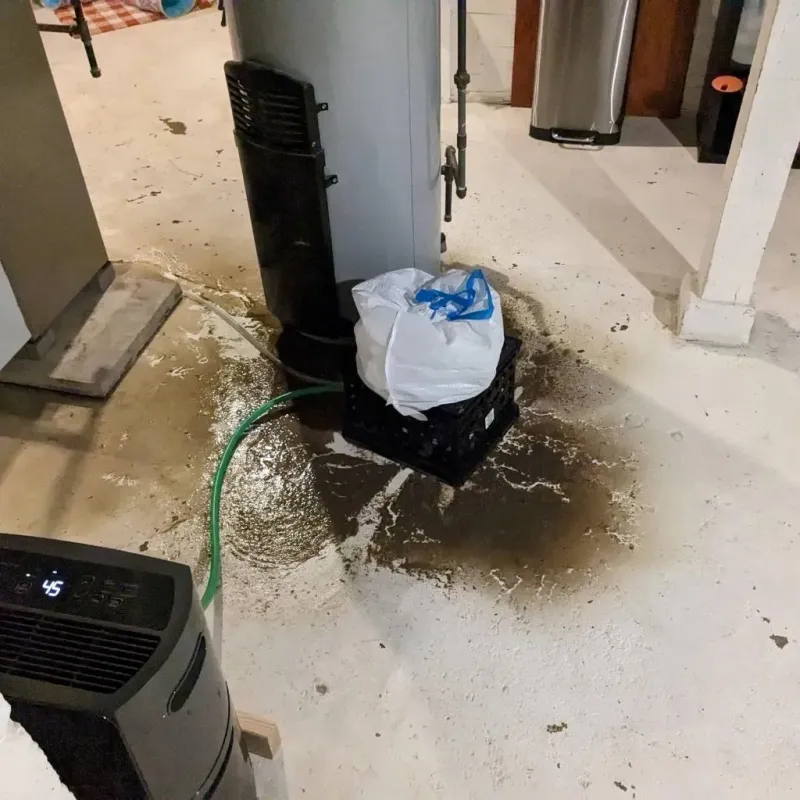 Sewage Backup Cleanup Service in Weston County, WY